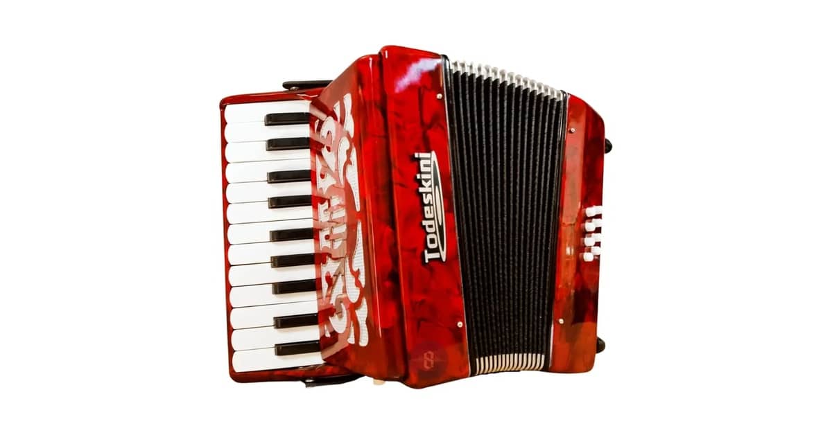 Qual a Melhor marca de gaita sanfona: Top 7 Opções