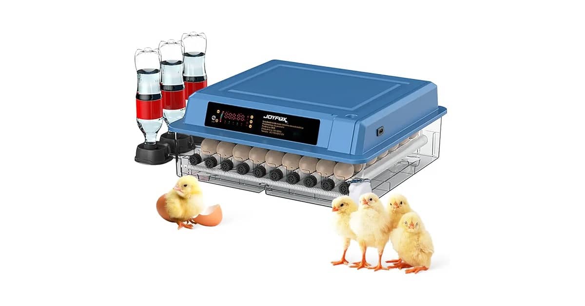 Qual é a Melhor Marca de Chocadeira? Análise Top 10