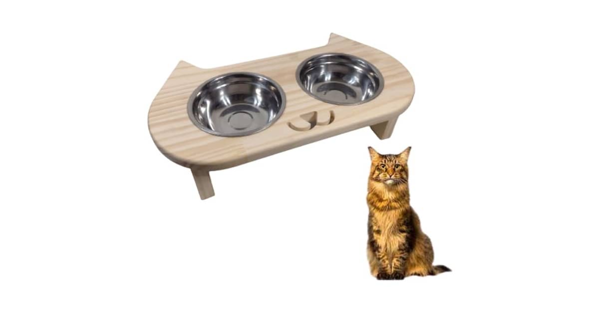Qual Melhor material para comedouro de gato? Guia de Higiene