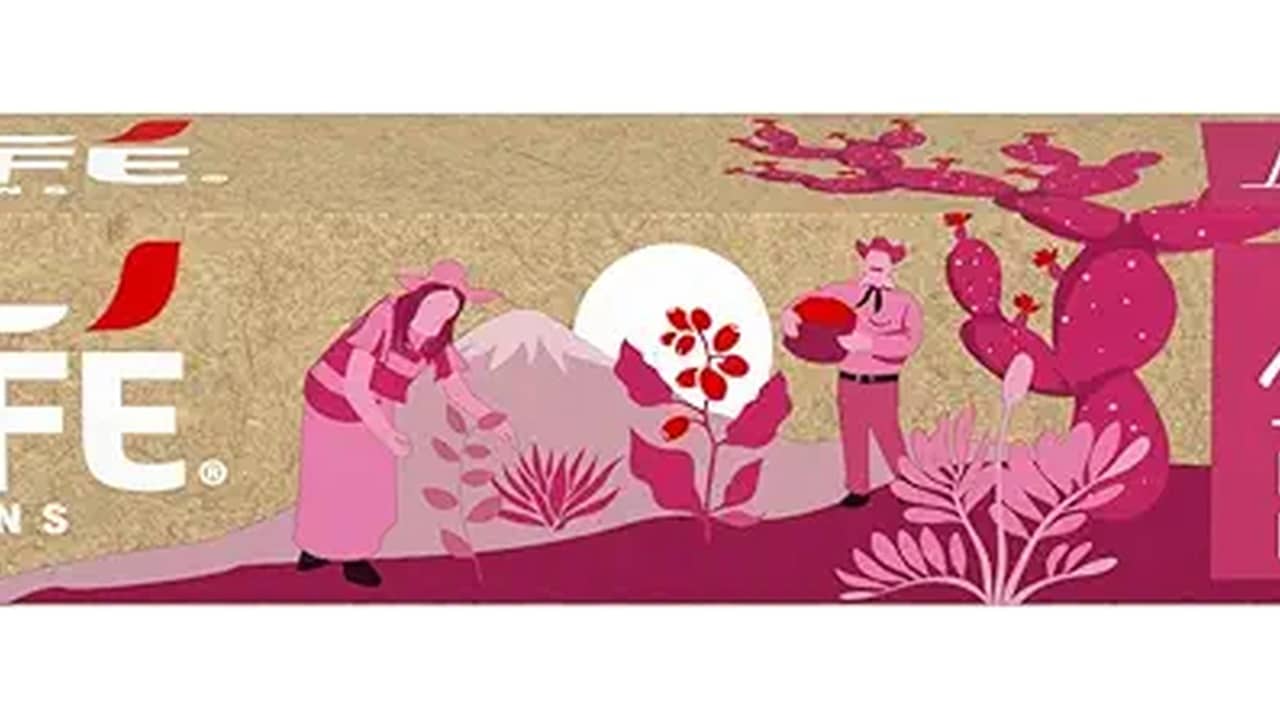 Qual o Café Mais Fraco da Nespresso? Top 10 Leves