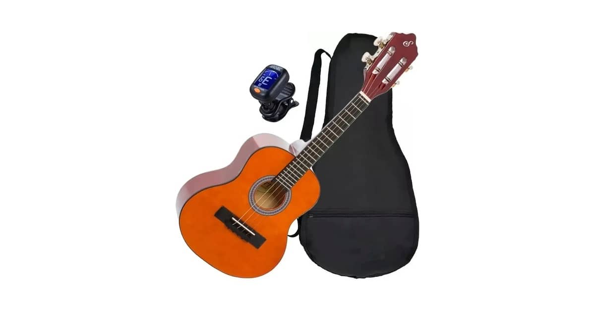 Qual o Melhor Cavaquinho Profissional Para Palco?