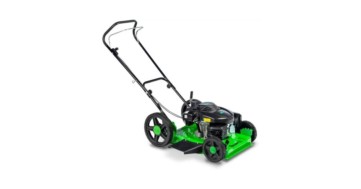 Qual o Melhor cortador de grama elétrico ou a gasolina: Comparativo