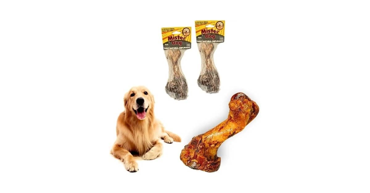 Qual o Melhor osso para cachorro roer? Guia de Opções Seguras