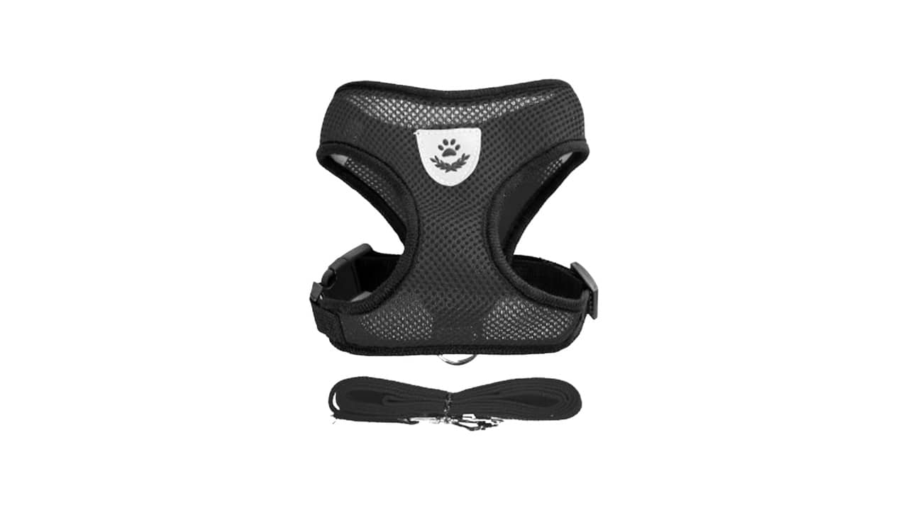 Qual o Melhor Peitoral Anti-Puxão: 10 Modelos para Controle e Conforto