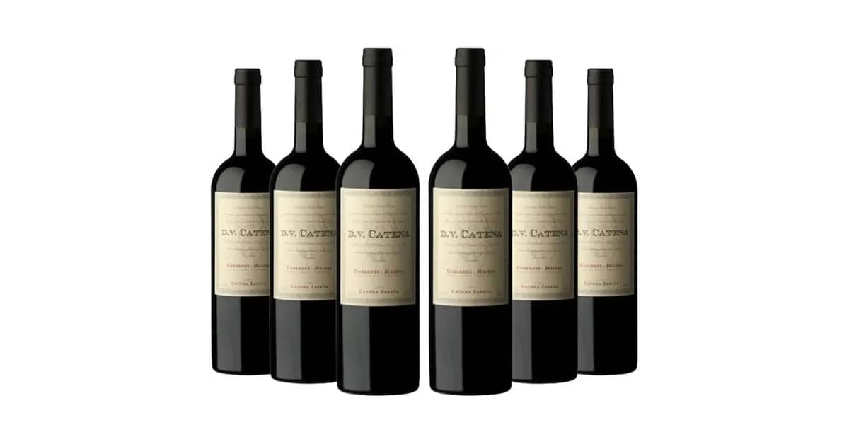 Qual o Melhor Vinho Cabernet Sauvignon ou Malbec?