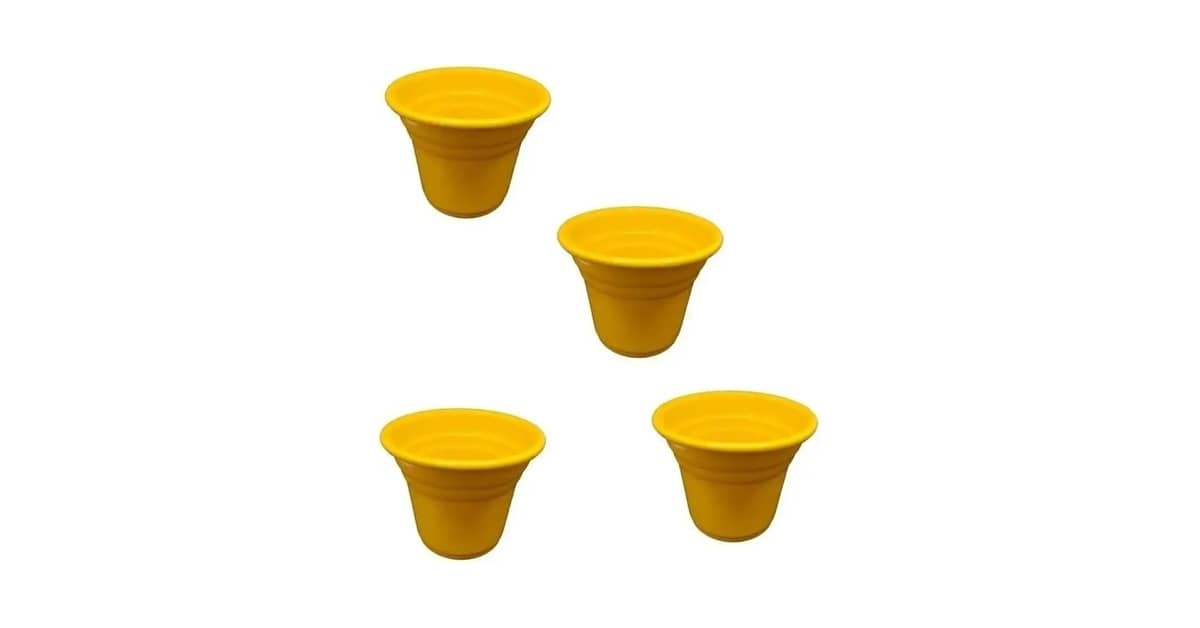 Qual o tamanho de vaso ideal para suculentas? Guia
