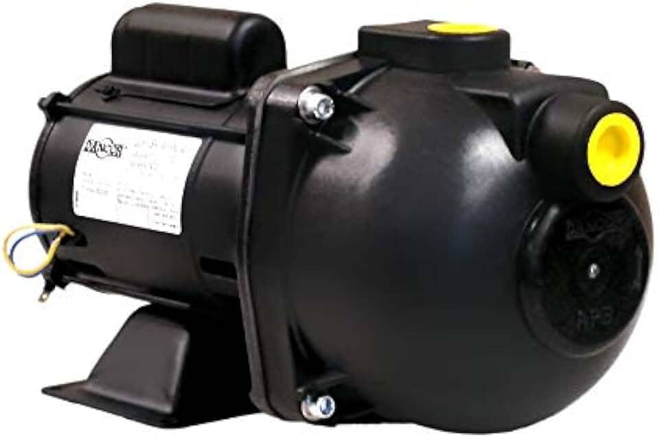 Bomba Autoaspirante Ap3c Dancor 367, 749w Preto
