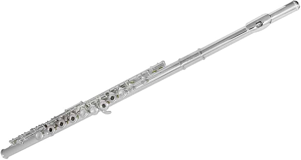 Flauta Transversal FL 210ES Prateada com Case New York