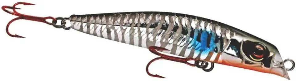 ISCA MARINE SPORTS REI DO RIO 95