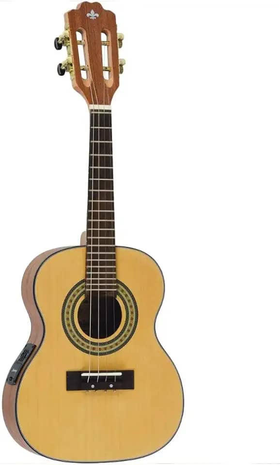 CAVACO STRINBERG CS25E NS ELETROACÚSTICO