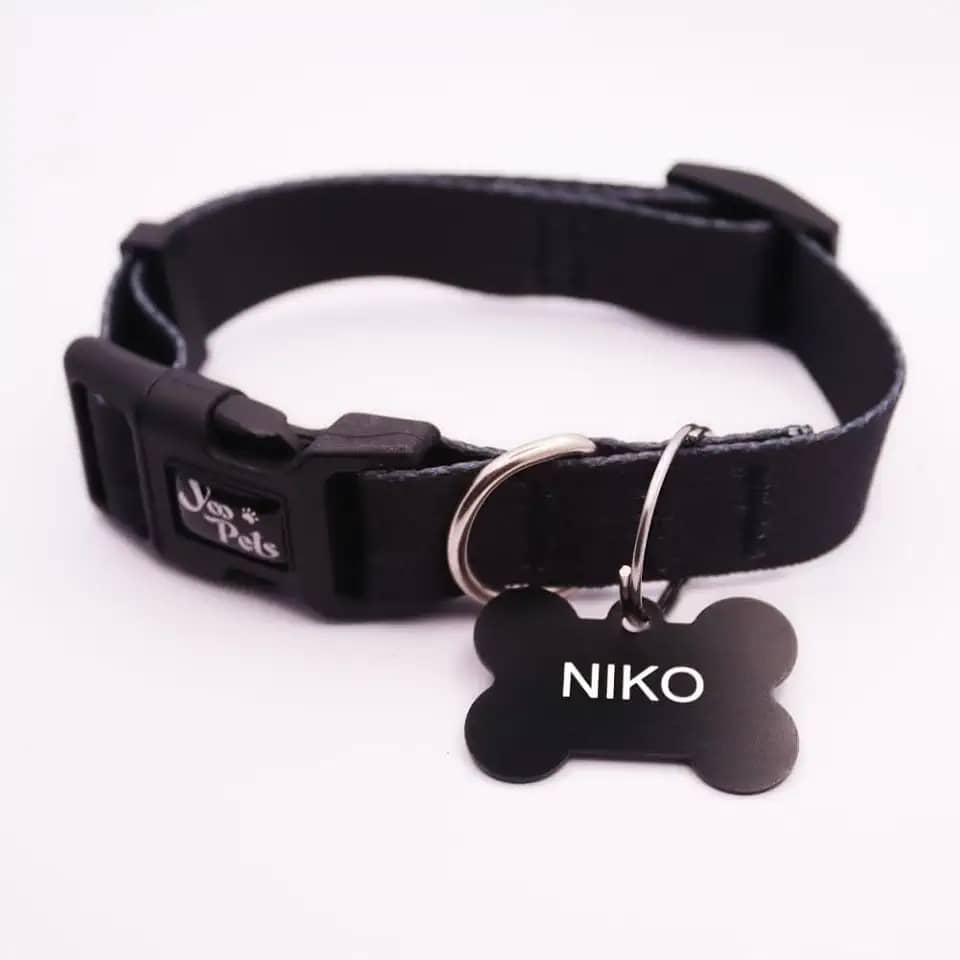 Coleira Ajustável Cachorro Yoo Pets e Plaquinha de Identificação Nome e Telefone PETS M (36 cm a 53 cm)