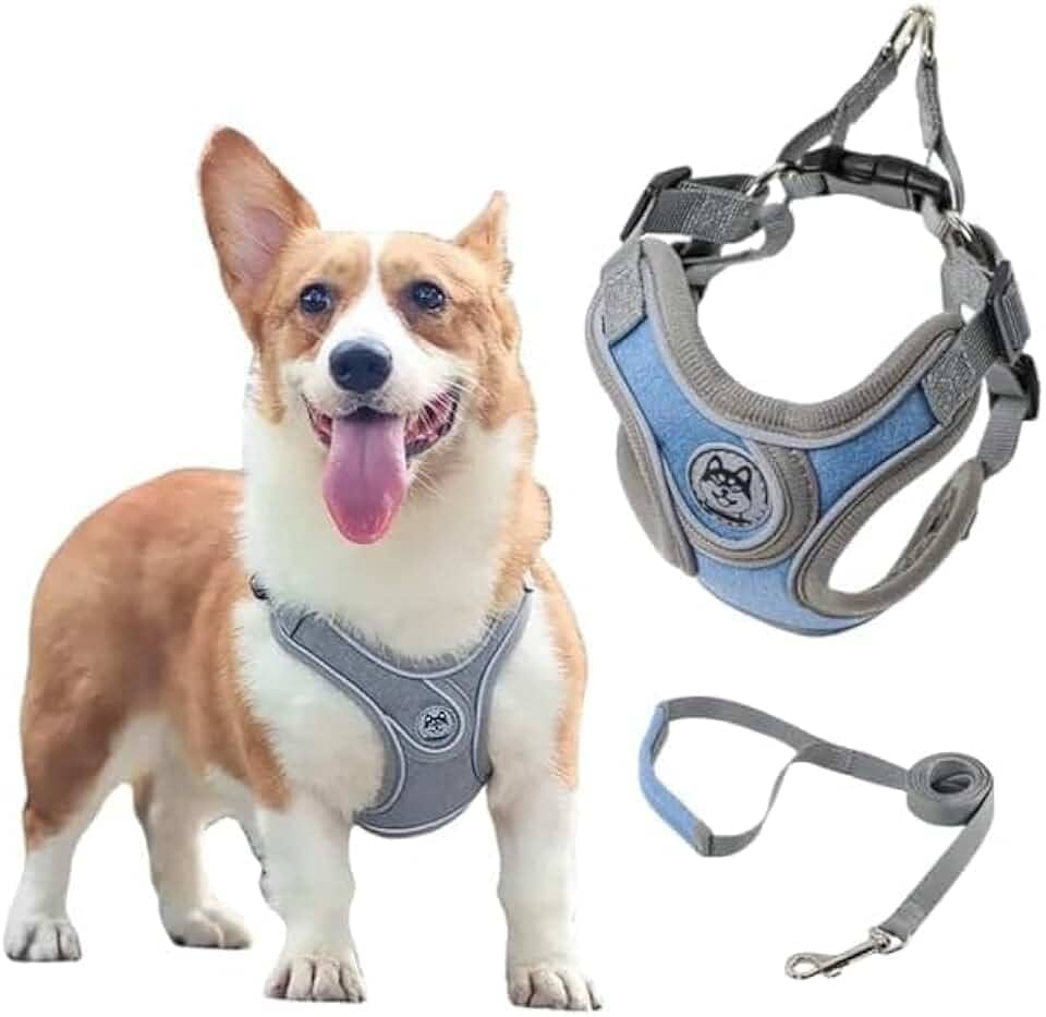 Coleira Peitoral para Cachorros Ajustável com Guia de Passeio (Azul, P)