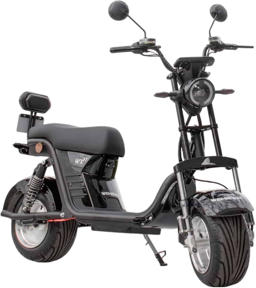 Moto Elétrica Wx-11 Wehawk 1000W 2 Lugares