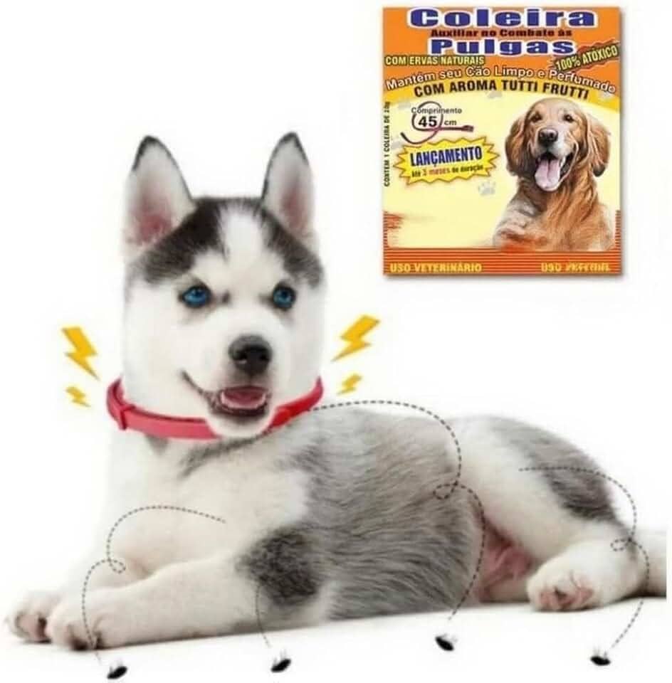 Coleira Antipulga Natural para Cachorros Proteção Eficaz com Aroma Suave