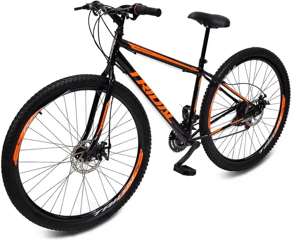 Bicicleta Aro 29 MTB Aço 21 Marchas Freio a Disco Tridal Bike