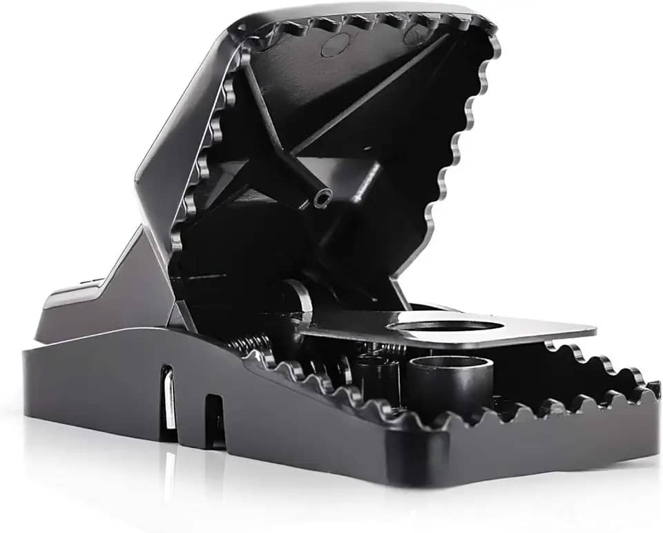 eXuby Armadilhas grandes e poderosas para ratos - mata instantaneamente com mola de aço potente - Configuração em segundos - Lavar e reutilizar mais e mais - Eliminação de mãos livres - Controle de