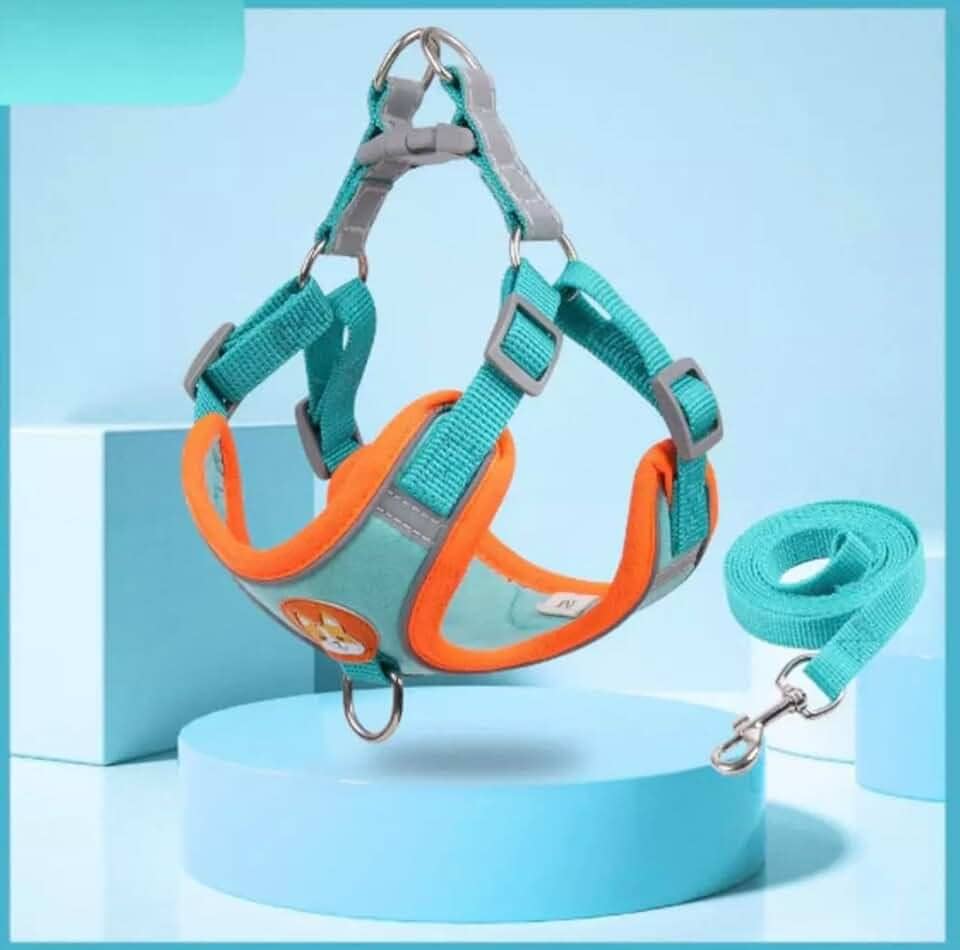 Coleira Peitoral para cachorro pequenos e médios com guia para pet colete confortável (Azul, 2-3 KG)