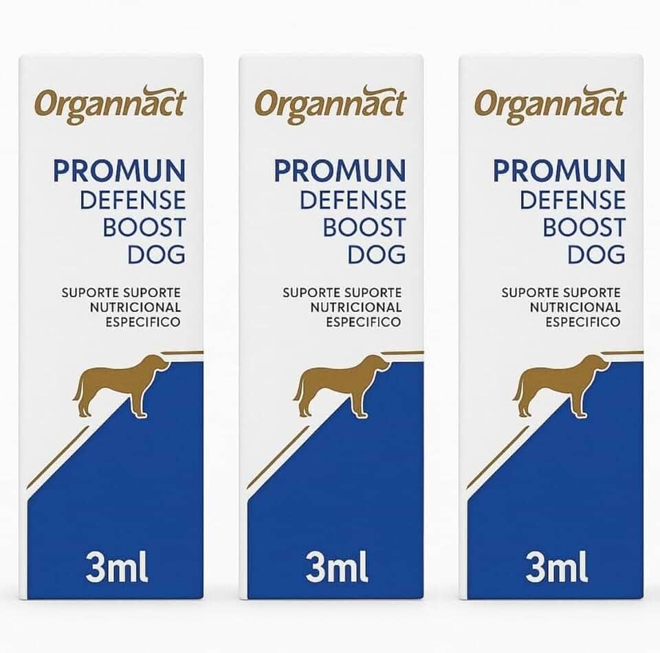 Kit 3 Suplementos Cães Promun Defense Boost Dog 3ml Probiótico Omega 3 Suporte Nutricional Casa Buritis