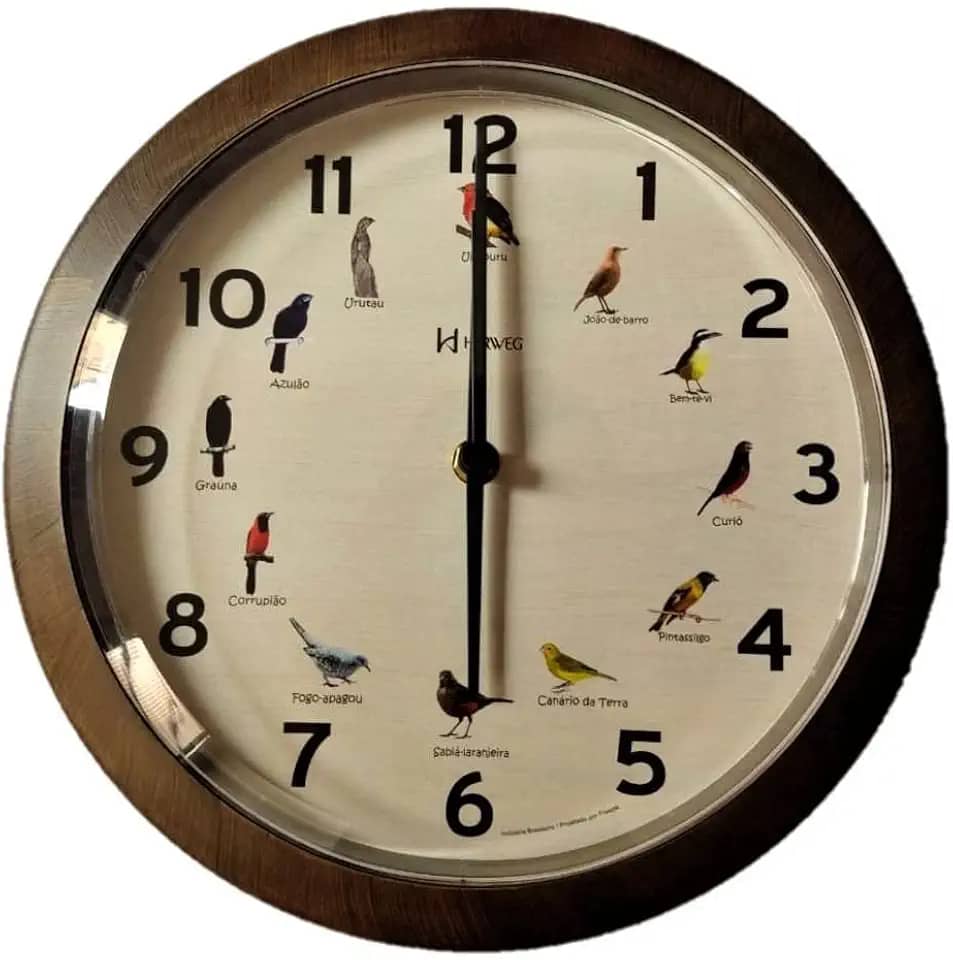 Relógio Parede Canto Passaros Brasileiros Herweg 6658 - 323