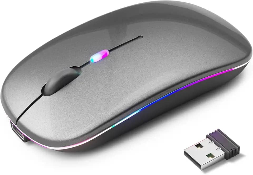 Mouse Sem Fio Recarregável, Ergonômico, com Led RGB, Conexão Dual Bluetooth 5.0/USB 2.4GHz, DPI Ajustável, perfeito para Notebook, Laptop,PC, Desktop, Silencioso (Cinza)