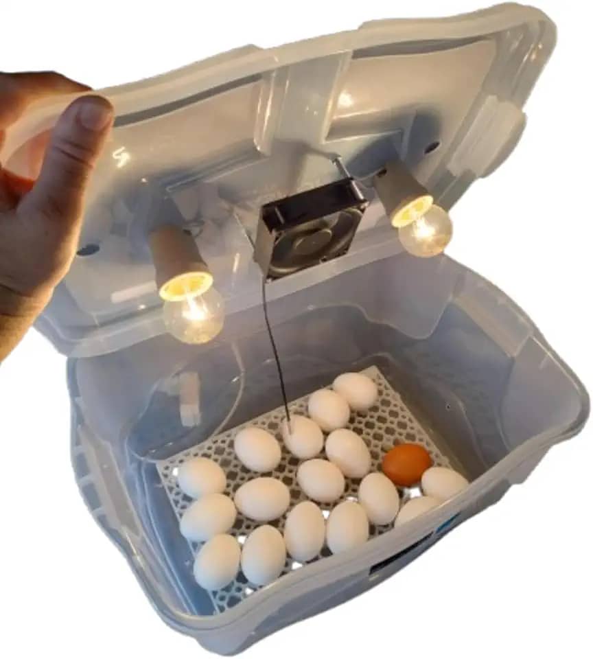 Chocadeira Compacta Com Controle De Temperatura automático capacidade para 30 Ovos de Galinha ou 90 ovos de codorna