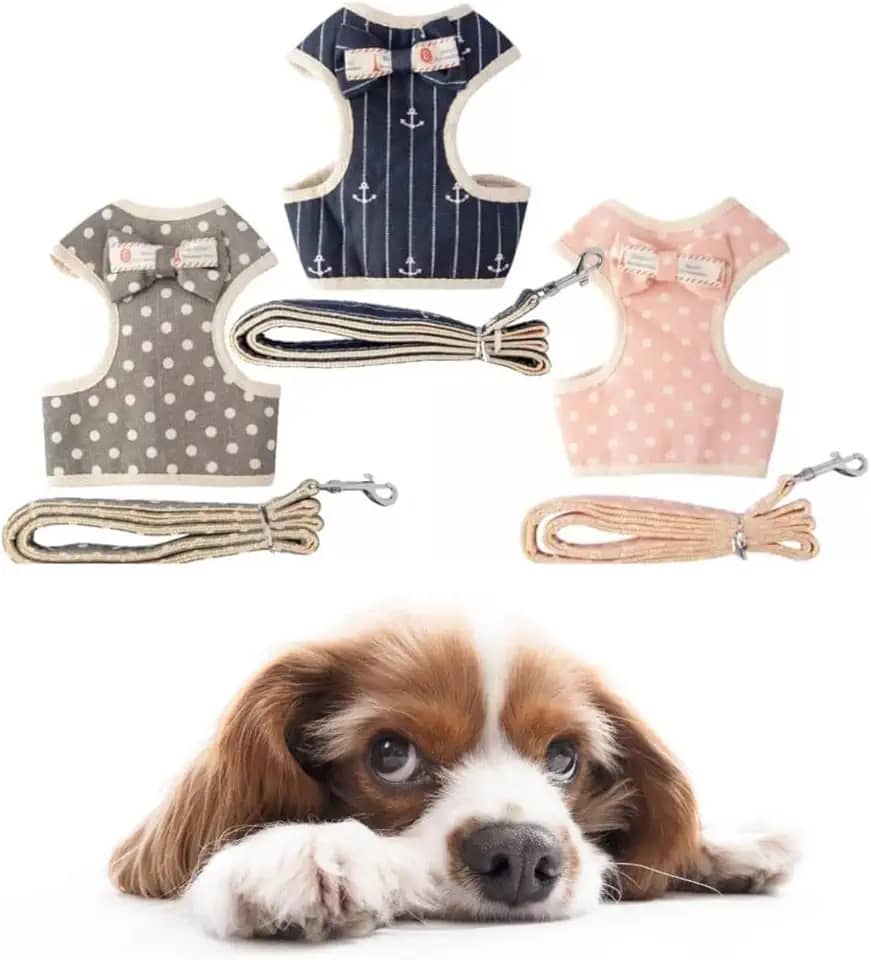 Coleira Peitoral para Cachorros e Guia Estampada Yorkshire Shih-Tzu (P, Azul)