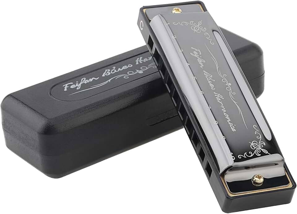 OriGlam Gaita 10 furos 20 melodias órgão boca harpa, blues gaita chave de C com estojo para blues folk jazz pop para iniciantes, presente para adultos