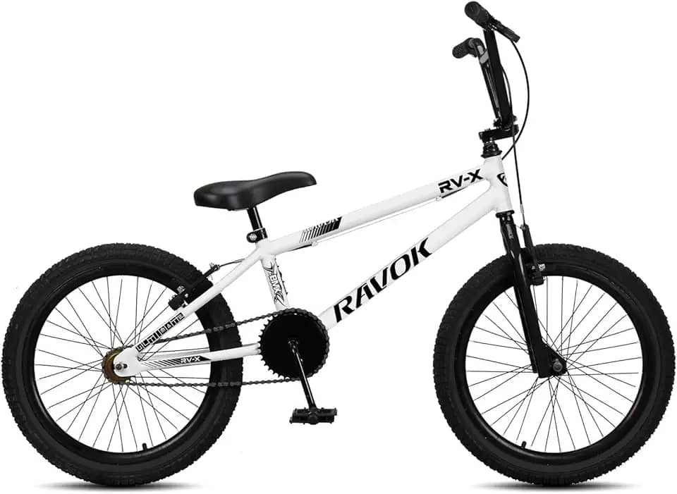 Bicicleta Bmx Aro 20 Ravok Rv-x Aro Aero Freio V-brake Cross Freestyle