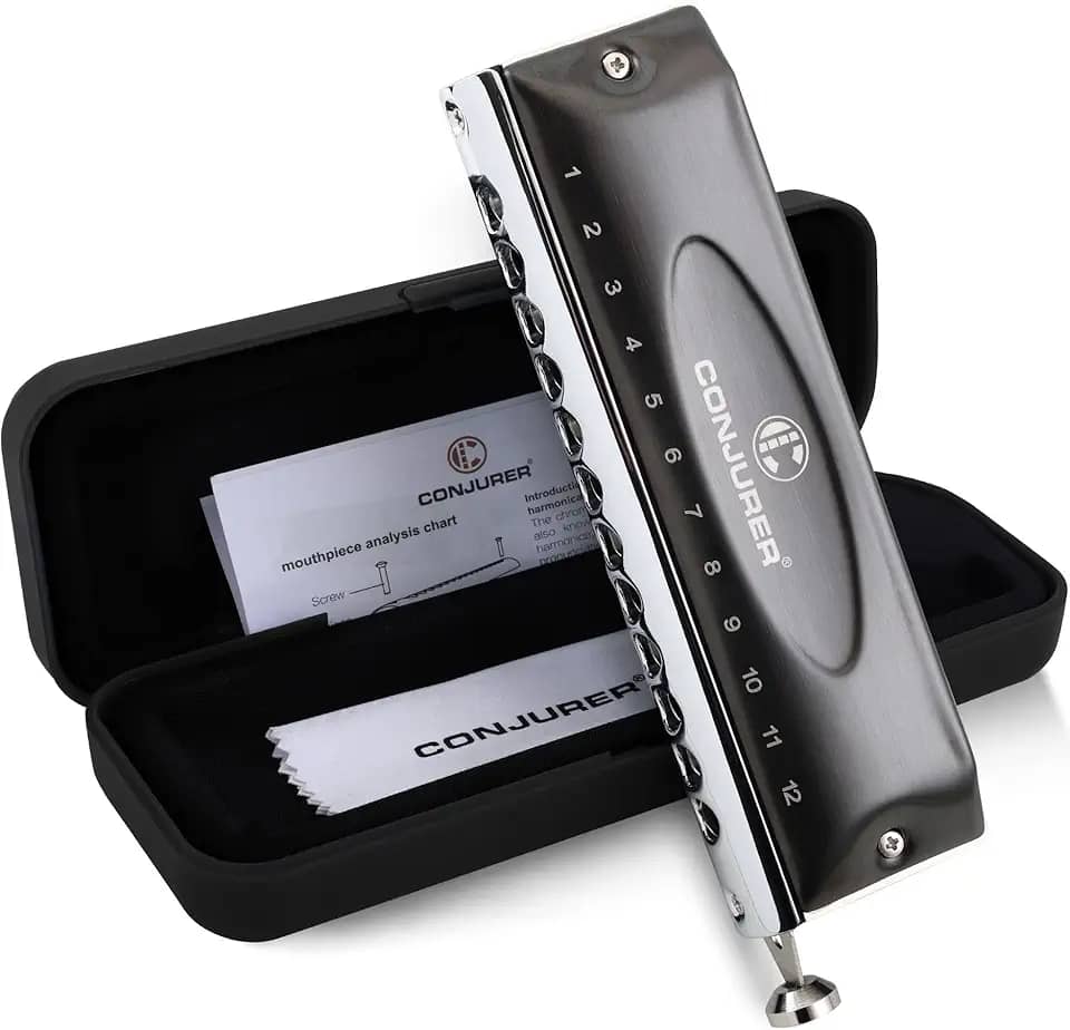 CONJURER Gaita cromática para crianças adultos iniciantes 12 furos 48 tons chave de C órgão de boca de aço inoxidável com mola de som de latão harpa azul na caixa, preta