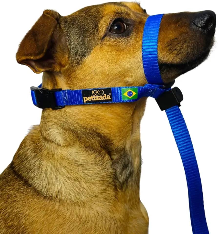 Coleira Cabresto Para Cachorro Com Guia Anti Puxão Adestramento Ajustável Com Trava (Azul, P)