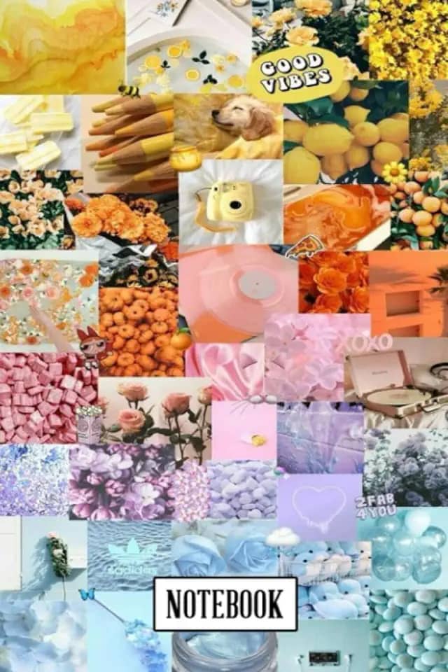 Wallpaper Nature Photography Notebook: A Notebook with beautiful pictures of nature photography for you, good for school, work and home Ver #148