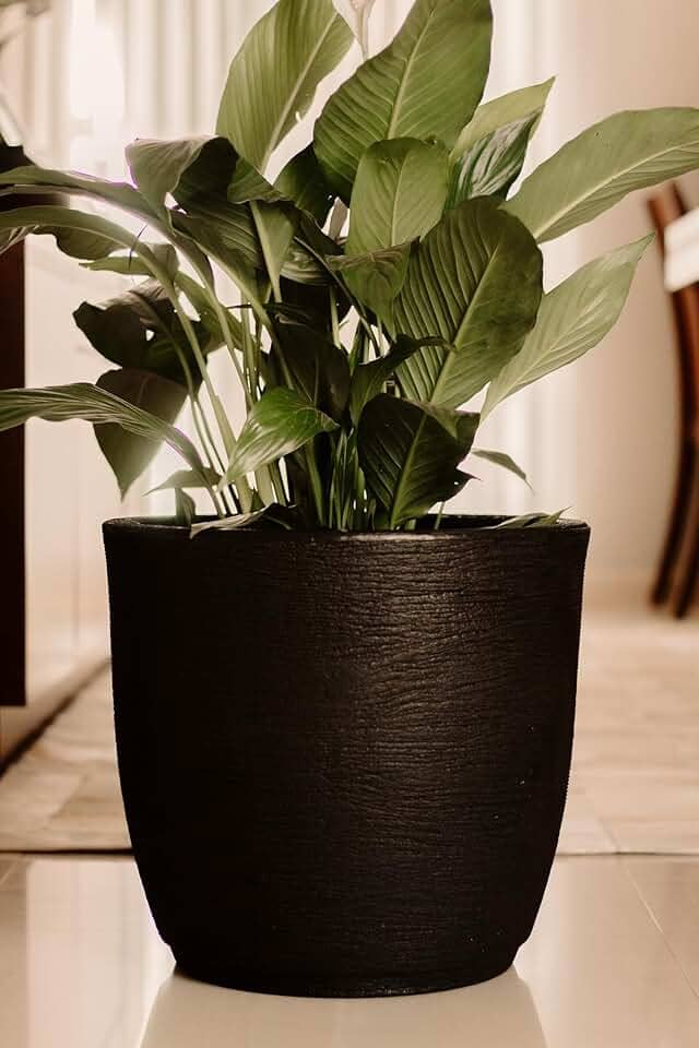 Vaso Planta Polietileno Escovado Luxo Bojo Redondo N1 (Preto)