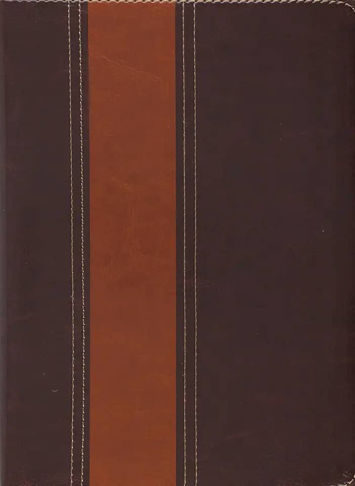 BIBLIA AEC DE ESTUDO THOMPSON MARRON ESCURO CLARO