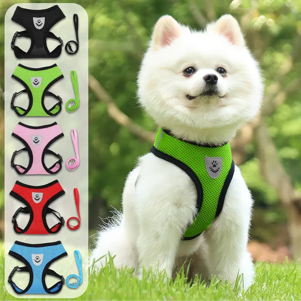 Conjunto de coleira e coleira ultrafina, respirável, sem puxar, colete refletivo para cães pequenos e médios - caminhada, corrida, acampamento - serve para maltês, chihuahua, poodle, shih tzu (verde