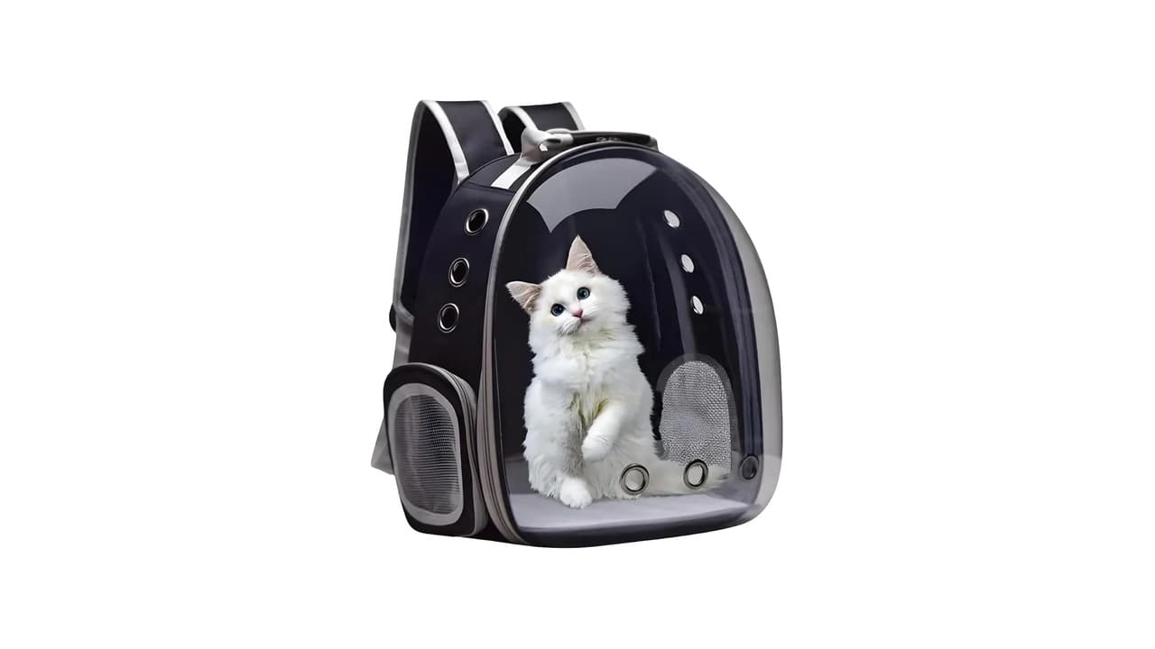 Melhor Bolsa de Transporte para Gato: 10 Modelos Seguros