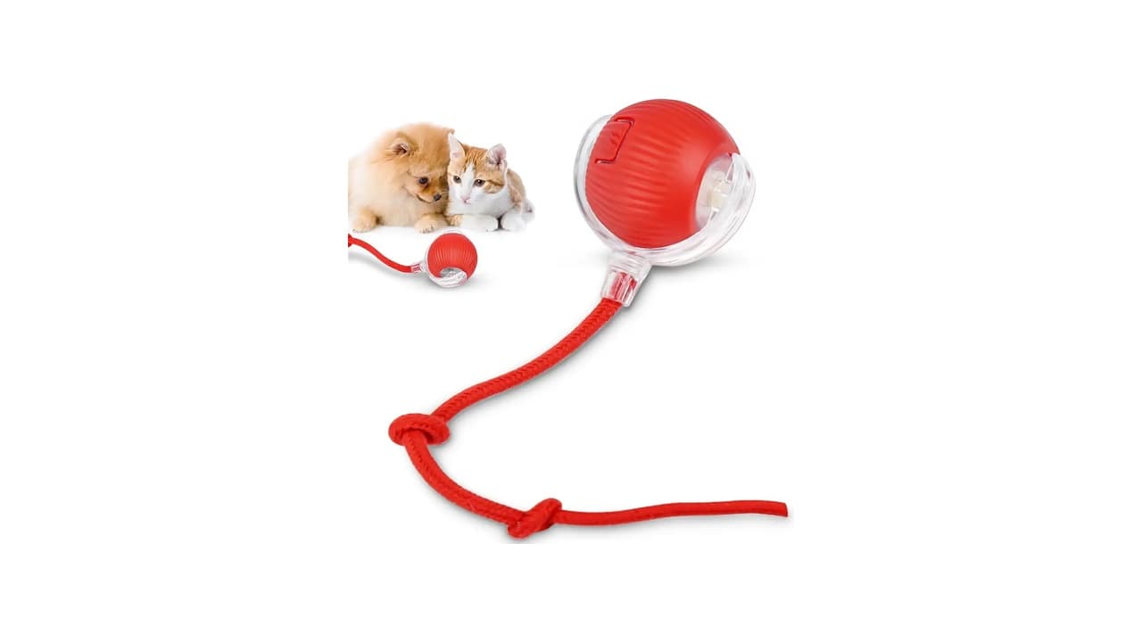 Melhor Brinquedo de Gato: 10 Opções para Estimular o Instinto de Caça