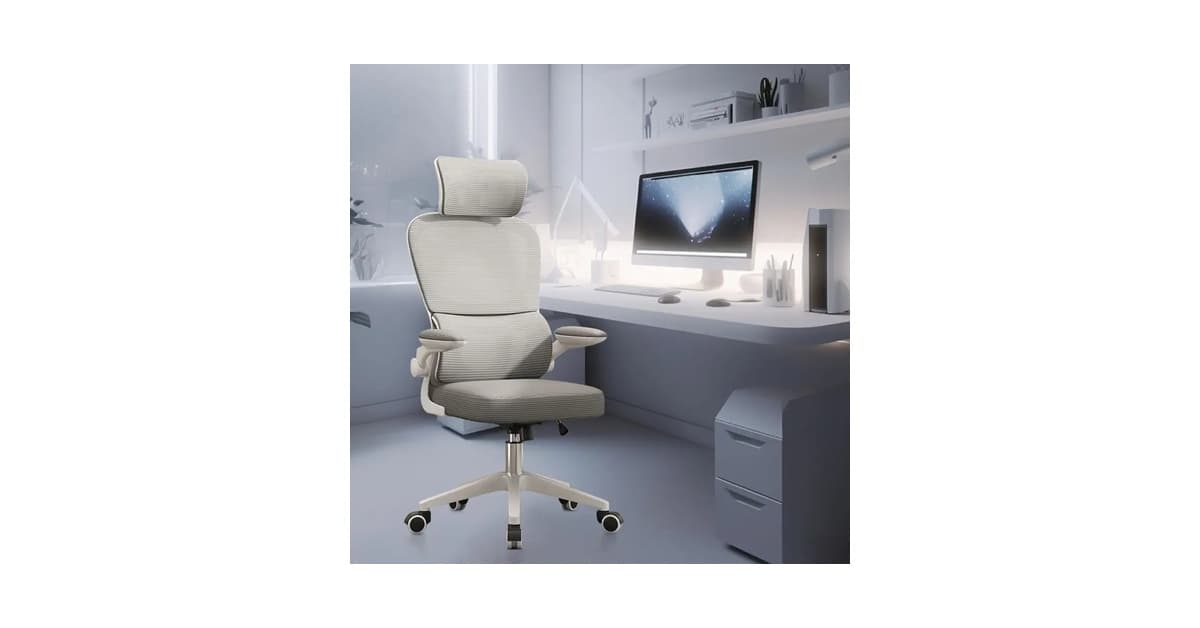 Melhor Cadeira Para Escritório: Guia de Ergonomia