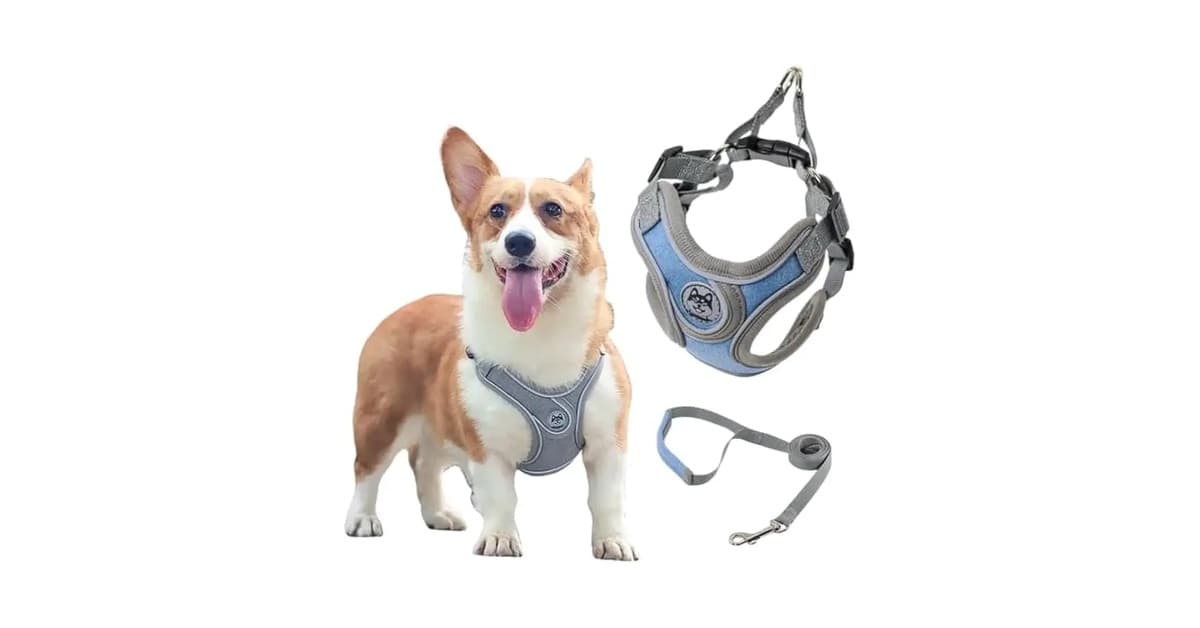 Melhor Coleira Para Cachorro Pequeno: Guia de Modelos