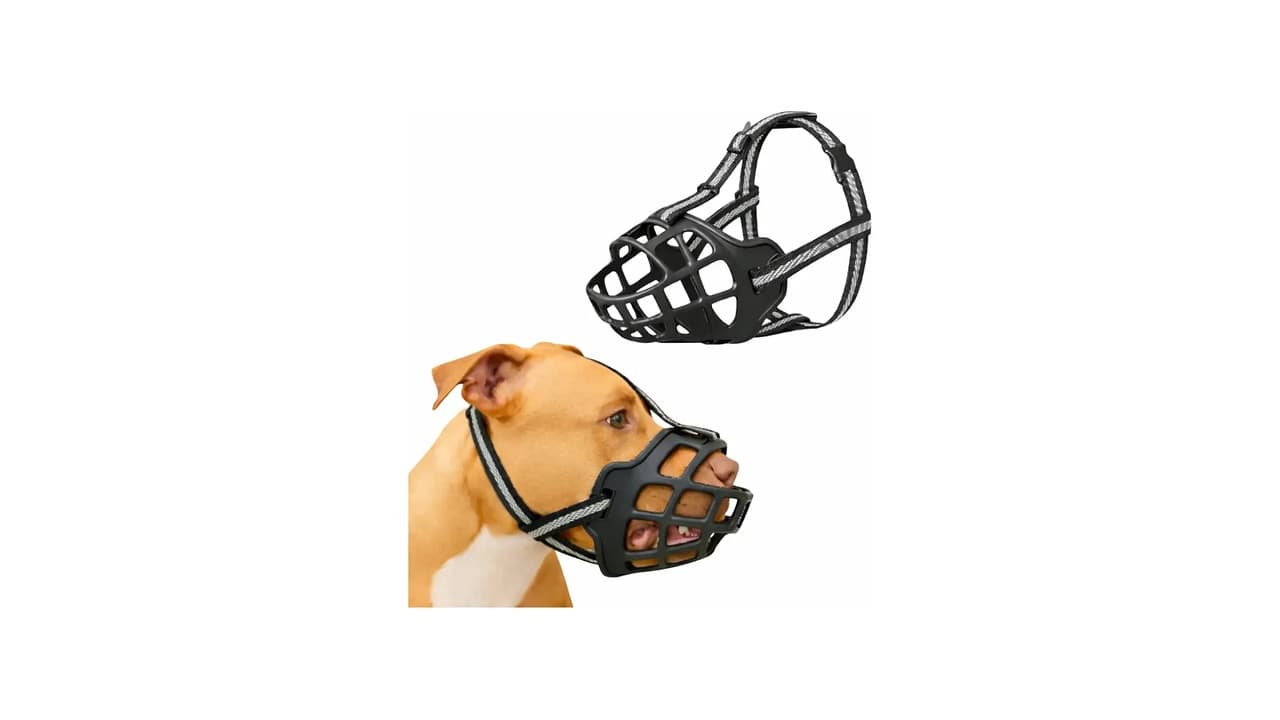 Melhor Focinheira para Cachorro: 10 Modelos Seguros