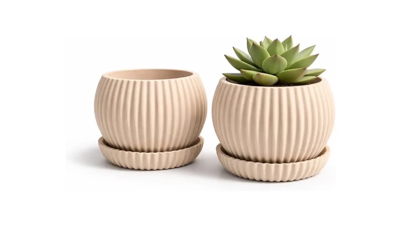 Melhor Vaso para Suculenta: 10 Modelos de Drenagem