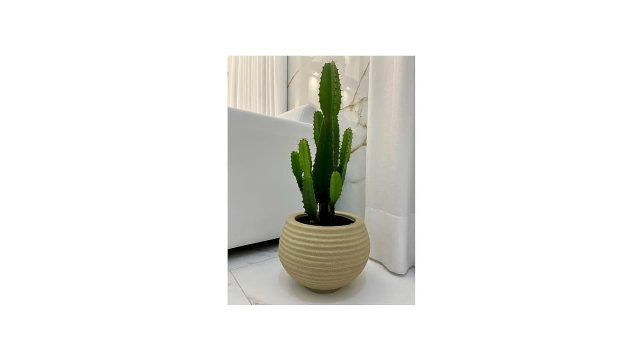 Melhor Vaso para Zamioculca: 10 Modelos de Alta Drenagem