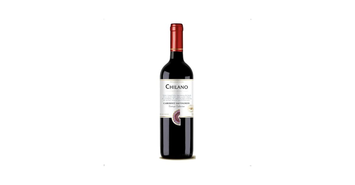Melhor Vinho Chileno Valor: Qual a Escolha Ideal?