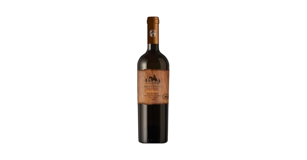 Melhor vinho seco do mundo: 10 Rótulos de Elite Avaliados