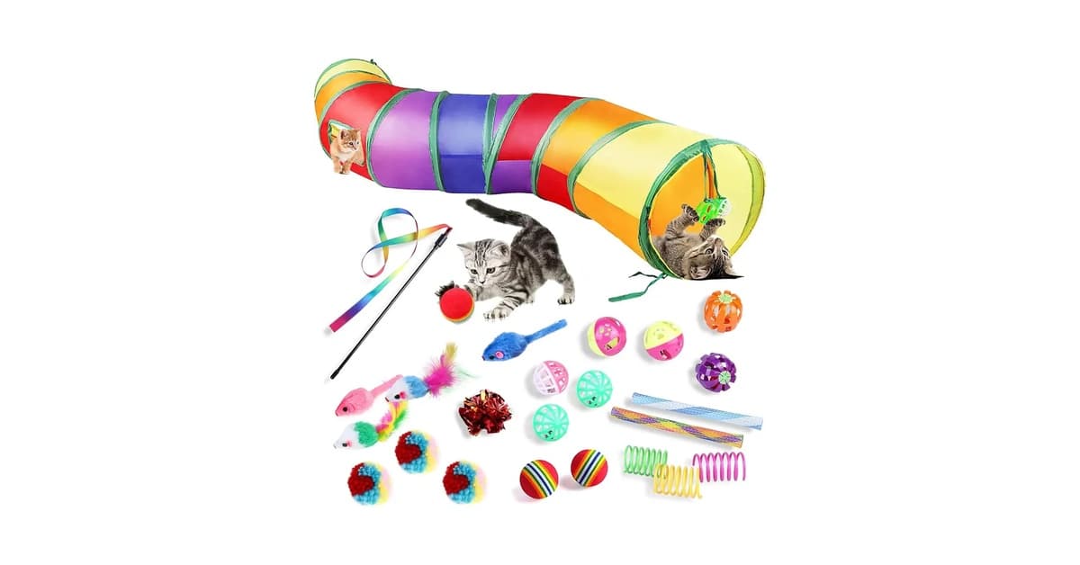 Melhores brinquedos para gatos filhotes: 10 Opções para Desenvolvimento