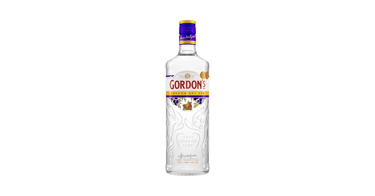 Melhores Gins Baratos: Qual o Melhor Custo-Benefício?