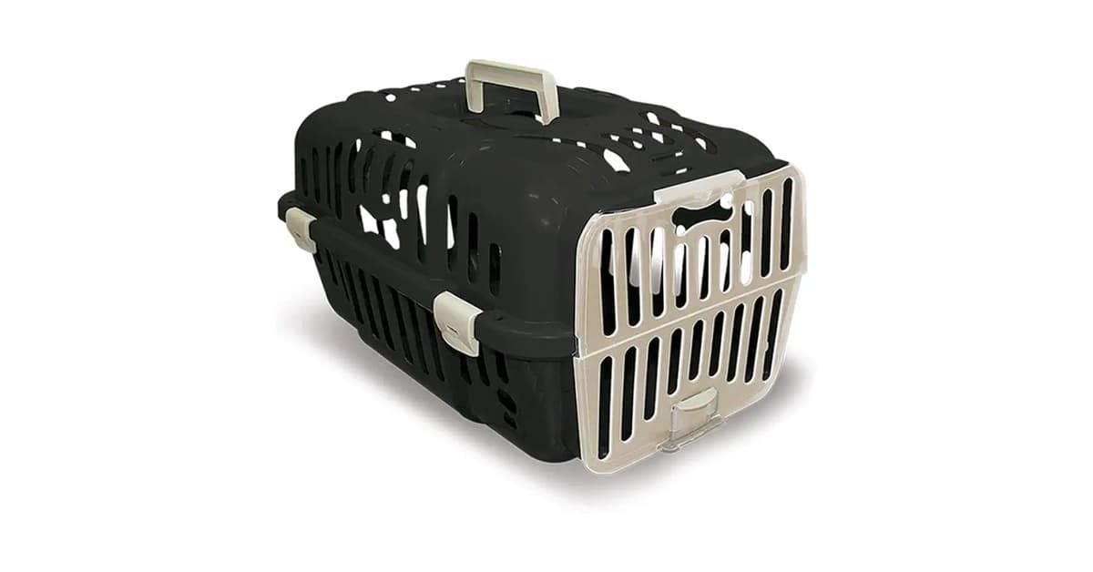 Qual a Melhor caixa de transporte para gatos: 10 Opções Seguras