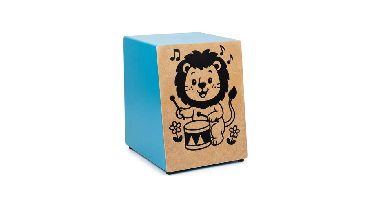 Qual o Melhor Cajon para Iniciantes: 10 Modelos