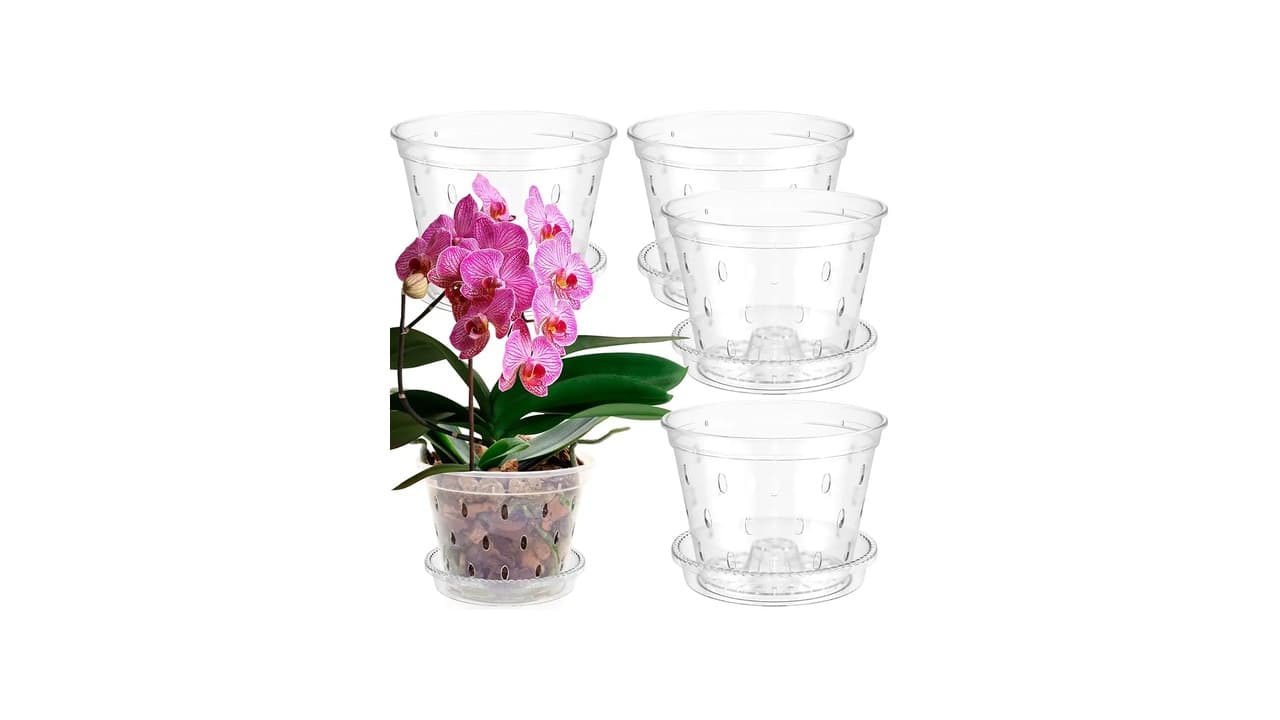Qual o Melhor Vaso para Orquídea Phalaenopsis: Guia de Escolha