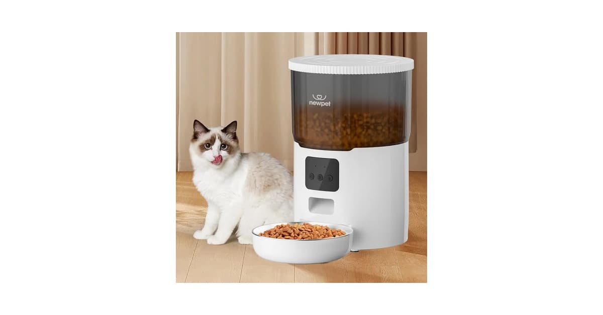 Melhor Alimentador Automatico: Tecnologia e Cuidado