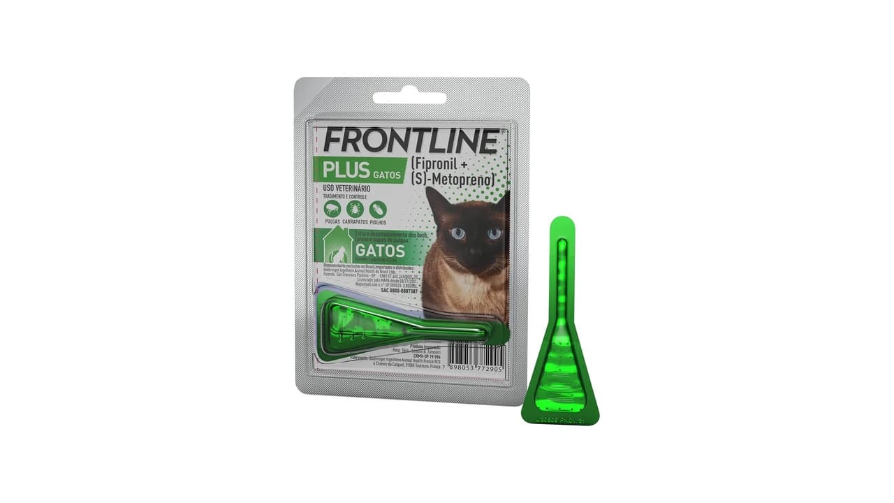 Melhor Antipulgas Para Gatos: Pipeta, Coleira ou Pílula?